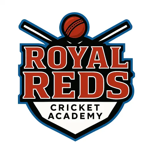Private Cricket Lesson